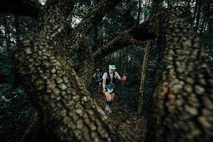 BIB: 
                            <button type="button" onclick="openModal(25684863)" class="btn btn-primary btn-sm float-right btn-popup" data-toggle="modal" data-target=".modal-high-quality">
                        <i class="fas fa-shopping-cart"></i> Add to Cart
                    </button>
                                            <button type="button" onclick="isThisMe(25684863, true)" class="btn btn-success btn-sm float-right btn-popup btn-isme hidden" data-toggle="tooltip" data-placement="bottom" title="นี่คือรูปของคุณใช่ไหม คลิกที่นี่เพื่อเอาเข้าอัลบั้ม">
                        <i class="fas fa-plus"></i> Add to album
                    </button>
                    <button type="button" onclick="isThisMe(25684863, false)" class="btn btn-warning btn-sm float-right btn-popup btn-isnotme hidden">
                        <i class="fas fa-ban"></i> Remove from album
                    </button>